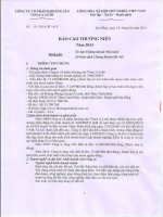 Báo cáo thường niên năm 2013 - Công ty Cổ phần Khoáng sản Vinas A Lưới