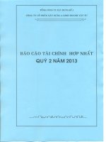 Báo cáo tài chính hợp nhất quý 2 năm 2013 - Công ty Cổ phần Xây dựng và Kinh doanh Vật tư