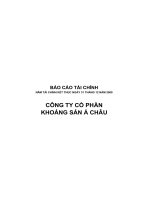 Báo cáo tài chính năm 2009 (đã kiểm toán) - Công ty cổ phần Khoáng sản Á Châu
