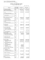 Báo cáo tài chính năm 2007 (đã kiểm toán) - Công ty cổ phần Khoáng sản Bình Định