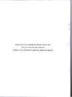 Báo cáo tài chính quý 2 năm 2012 (đã soát xét) - Công ty Cổ phần Chứng khoán BETA