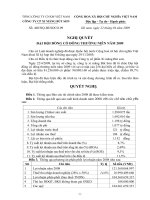 Nghị quyết đại hội cổ đông ngày 22-04-2009 - Công ty cổ phần Xi măng Vicem Bút Sơn