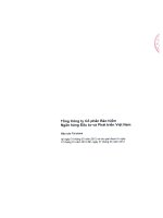 Báo cáo tài chính quý 1 năm 2012 - Tổng Công ty Cổ phần Bảo hiểm Ngân hàng Đầu tư và phát triển Việt Nam