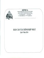 Báo cáo tài chính hợp nhất quý 4 năm 2014 - Công ty Cổ phần Xuất nhập khẩu Thủy sản An Giang