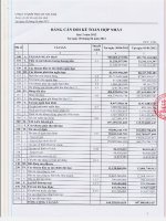 Báo cáo tài chính hợp nhất quý 2 năm 2012 - Công ty Cổ phần Thủy Sản Cửu Long