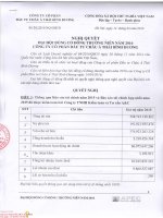 Nghị quyết Đại hội cổ đông thường niên - Công ty Cổ phần Đầu tư Châu Á - Thái Bình Dương