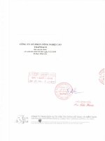 Báo cáo tài chính năm 2009 (đã kiểm toán) - Công ty cổ phần Công nghệ cao Traphaco