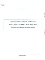 Báo cáo tài chính quý 2 năm 2014 (đã soát xét) - Công ty Cổ phần Khoáng sản Bắc Kạn