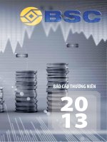 Báo cáo thường niên năm 2013 - Công ty cổ phần Chứng khoán Ngân hàng Đầu tư và Phát triển Việt Nam