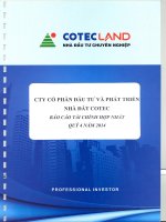 Báo cáo tài chính hợp nhất quý 4 năm 2014 - Công ty Cổ phần Đầu tư và Phát triển Nhà đất COTEC