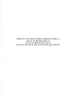 Báo cáo tài chính quý 2 năm 2012 (đã soát xét) - Công ty Cổ phần Chứng khoán ASC