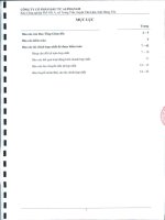 Báo cáo tài chính hợp nhất năm 2012 (đã kiểm toán) - Công ty Cổ phần Đầu tư Alphanam