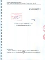 Báo cáo tài chính quý 2 năm 2015 (đã soát xét) - Công ty Cổ phần Nhiệt điện Bà Rịa