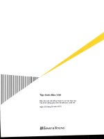 Báo cáo tài chính công ty mẹ quý 3 năm 2010 (đã soát xét) - Tập đoàn Bảo Việt