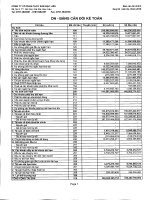 Báo cáo tài chính quý 4 năm 2010 - Công ty Cổ phần Thủy sản Bạc Liêu