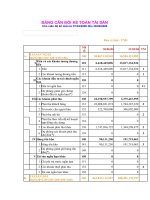 Báo cáo tài chính quý 2 năm 2006 - Công ty cổ phần Đầu tư Hạ tầng Kỹ thuật T.P Hồ Chí Minh