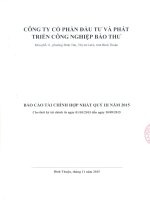 Báo cáo tài chính hợp nhất quý 3 năm 2015 - Công ty cổ phần Đầu tư và Phát triển Công nghiệp Bảo Thư