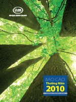Báo cáo thường niên năm 2010 - Công ty Cổ phần Nhựa Bình Minh