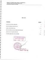 Báo cáo tài chính năm 2015 (đã kiểm toán) - Công ty cổ phần Công nghệ cao Traphaco