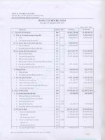 Báo cáo tài chính hợp nhất quý 1 năm 2011 - Công ty Cổ phần Chiếu xạ An Phú