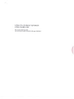 Báo cáo tài chính hợp nhất quý 1 năm 2011 - Công ty Cổ phần Tập đoàn Công nghệ CMC