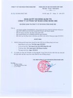 Nghị quyết Hội đồng Quản trị ngày 29-1-2010 - Công ty Cổ phần Tập đoàn Công nghệ CMC