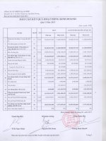 Báo cáo KQKD công ty mẹ quý 1 năm 2011 - Công ty Cổ phần Chiếu xạ An Phú