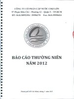 Báo cáo thường niên năm 2012 - Công ty Cổ phần Cấp nước Chợ Lớn