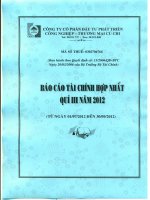 Báo cáo tài chính hợp nhất quý 3 năm 2012 - Công ty Cổ phần Đầu tư Phát triển Công nghiệp - Thương mại Củ Chi