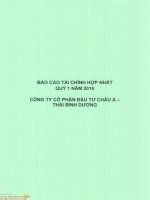 Báo cáo tài chính hợp nhất quý 1 năm 2016 - Công ty Cổ phần Đầu tư Châu Á - Thái Bình Dương