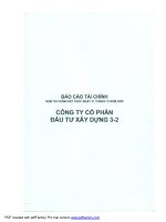 Báo cáo tài chính năm 2009 (đã kiểm toán) - Công ty Cổ phần Đầu tư Xây dựng 3-2