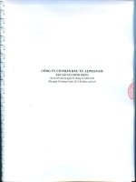 Báo cáo tài chính công ty mẹ quý 2 năm 2013 (đã soát xét) - Công ty Cổ phần Đầu tư Alphanam