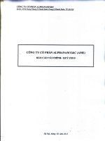 Báo cáo tài chính quý 1 năm 2015 - Công ty Cổ phần Alphanam E&C
