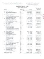 Báo cáo tài chính quý 1 năm 2016 - Công ty cổ phần Xuất nhập khẩu An Giang