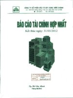 Báo cáo tài chính hợp nhất quý 1 năm 2012 - Công ty Cổ phần Đầu tư Xây dựng Bình Chánh
