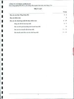 Báo cáo tài chính hợp nhất năm 2010 (đã kiểm toán) - Công ty Cổ phần Đầu tư Alphanam