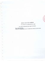 Báo cáo tài chính năm 2014 (đã kiểm toán) - Công ty Cổ phần Đầu tư CMC