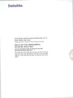 Báo cáo tài chính công ty mẹ quý 2 năm 2013 (đã soát xét) - Ngân hàng Thương mại cổ phần Đầu tư và Phát triển Việt Nam