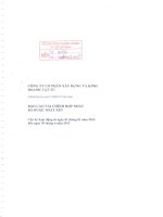 Báo cáo tài chính hợp nhất quý 2 năm 2013 (đã soát xét) - Công ty Cổ phần Xây dựng và Kinh doanh Vật tư