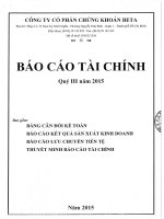 Báo cáo tài chính quý 3 năm 2015 - Công ty Cổ phần Chứng khoán BETA