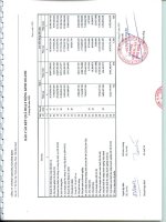 Báo cáo KQKD hợp nhất quý 2 năm 2010 (đã kiểm toán) - Công ty cổ phần Khoáng sản Bình Định