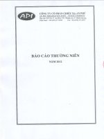 Báo cáo thường niên năm 2012 - Công ty Cổ phần Chiếu xạ An Phú