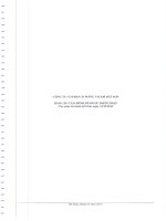 Báo cáo tài chính năm 2012 (đã kiểm toán) - Công ty cổ phần Xi măng Vicem Bút Sơn