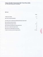 Báo cáo tài chính quý 2 năm 2011 (đã soát xét) - Công ty Cổ phần Chứng khoán Nông nghiệp và Phát triển Nông thôn