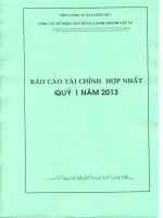 Báo cáo tài chính hợp nhất quý 1 năm 2013 - Công ty Cổ phần Xây dựng và Kinh doanh Vật tư