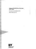 Báo cáo tài chính hợp nhất quý 2 năm 2014 (đã soát xét) - Công ty Cổ phần Đầu tư Xây dựng Bình Chánh