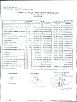 Báo cáo KQKD công ty mẹ quý 4 năm 2010 - Công ty Cổ phần Nam Việt