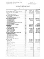 Báo cáo tài chính quý 1 năm 2009 - Công ty Cổ phần Chế tạo Biến thế và Vật liệu điện Hà Nội