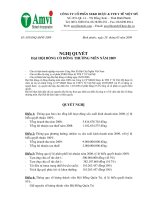 Nghị quyết đại hội cổ đông ngày 28-05-2009 - CTCP Sản xuất Kinh doanh Dược và Trang thiết bị Y tế Việt Mỹ