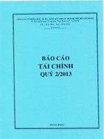 Báo cáo tài chính công ty mẹ quý 2 năm 2013 - Công ty cổ phần Đầu tư Hạ tầng Kỹ thuật T.P Hồ Chí Minh